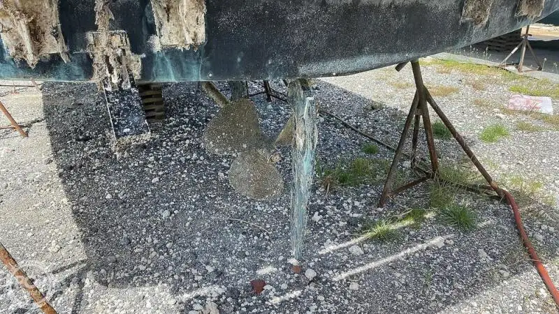 Kruvaziyer gemisi satılık