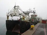 Trol gemisi satılık