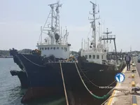 Trol gemisi satılık