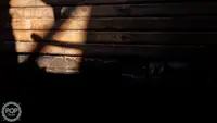 Trol gemisi satılık