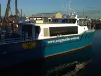 Katamaran satılık