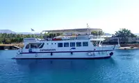 Katamaran satılık
