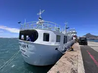 Trol gemisi satılık