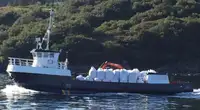 İş gemileri satılık