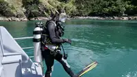 Araştırma gemisi satılık