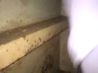 Petrol/Kimyasal tankeri satılık