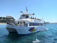 Yolcu gemisi satılık