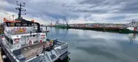 Katamaran satılık