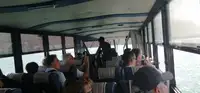 Amfibi satılık