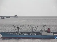 Soğutmalı gemi satılık