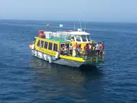 Feribot satılık