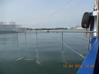 Yığın taşıyıcı satılık