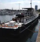 Devriye botu satılık