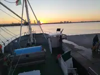 Trol gemisi satılık