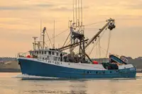 Purse seiner satılık