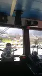 Ro-Ro gemisi satılık