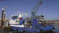 Yığın taşıyıcı satılık