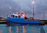 Römorkör satılık