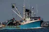 Purse seiner satılık