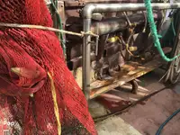 Trol gemisi satılık