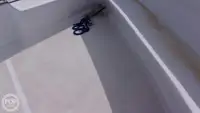 Dalgıç destek gemisi satılık