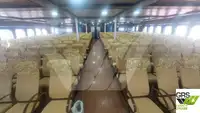 Ro-Ro gemisi satılık