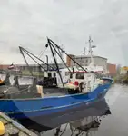 Canlı balık taşıyıcı satılık