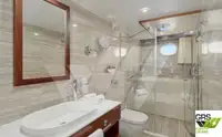 Kruvaziyer gemisi satılık