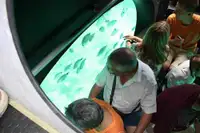 Denizaltı satılık