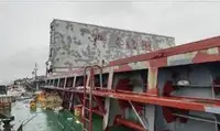 Yığın taşıyıcı satılık