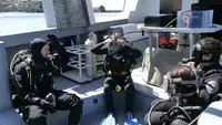 Araştırma gemisi satılık