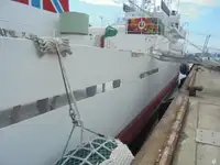Devriye botu satılık