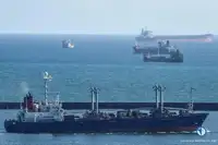 soğutuculu gemi satılık