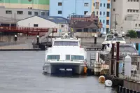 Yolcu gemisi satılık