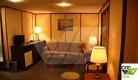 Ro-Ro gemisi satılık