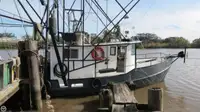 Trawler satılık