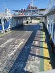 Feribot satılık