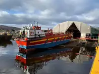 Ro-Ro ship satılık