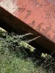Gezi teknesi satılık