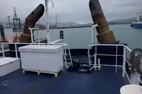 Çekme teknesi satılık