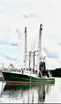 Trawler satılık