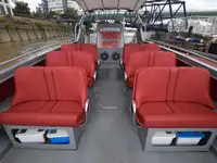 Kruvaziyer gemisi satılık