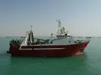 Trol gemisi satılık