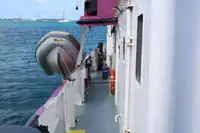 General Cargo/Multi-purpose satılık