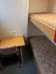 Devriye botu satılık