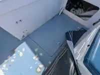 Kruvaziyer feribotu satılık