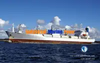 Soğutmalı gemi satılık