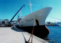 Trol gemisi satılık