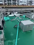 Devriye botu satılık