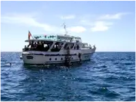 Kruvaziyer gemisi satılık